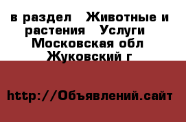  в раздел : Животные и растения » Услуги . Московская обл.,Жуковский г.